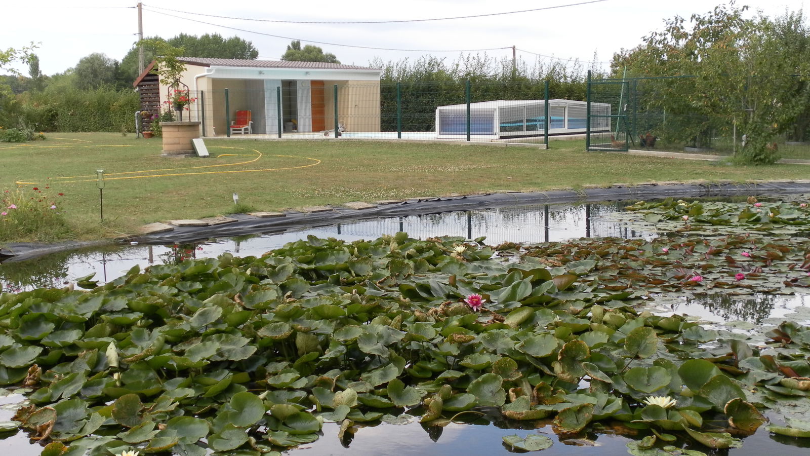 Estudio Independiente Assay 125366