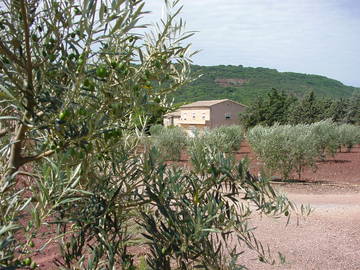 Roomlala | Casa De Campo En Alquiler En El Campo / Languedoc