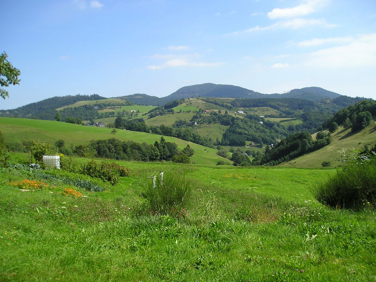 Estudio Independiente Le Bonhomme 68527