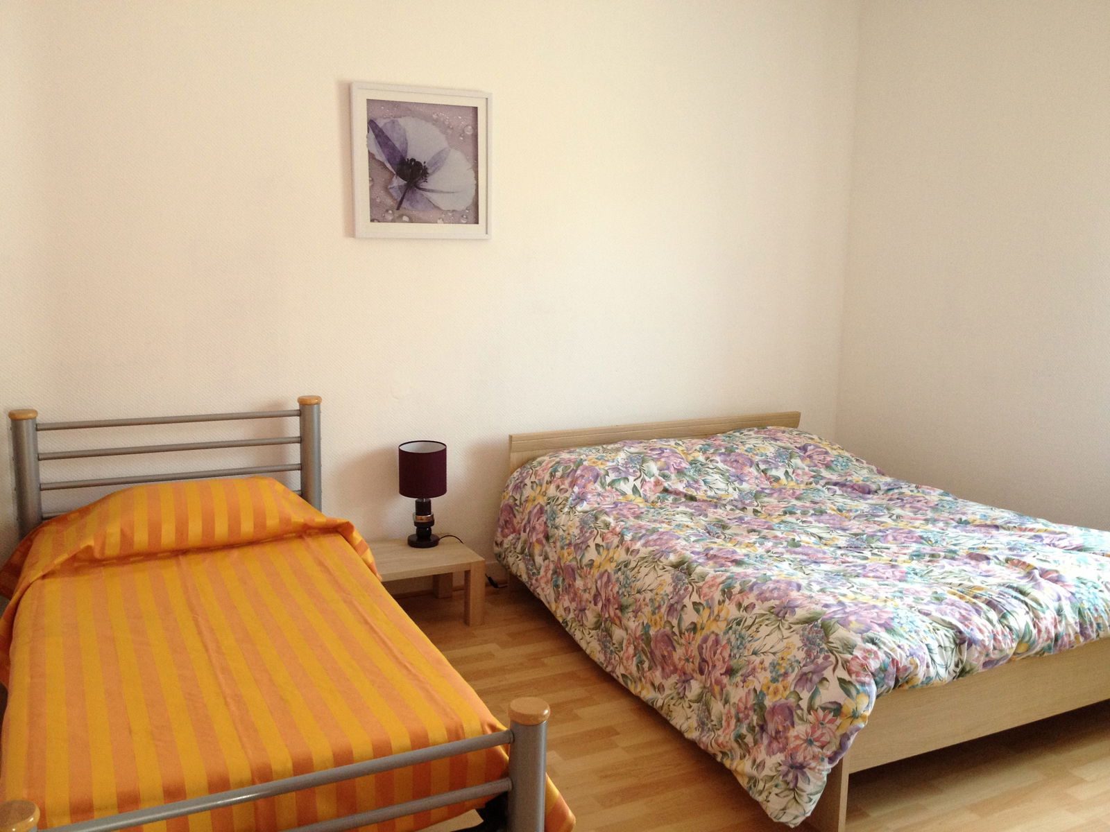 Estudio Independiente Metz 21567