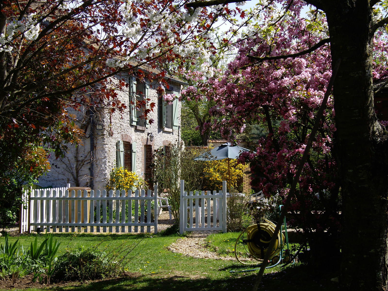 Estudio Independiente Saint-Lubin-de-la-Haye 83966