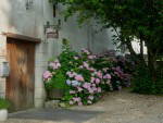 Roomlala | Casa de campo Lacorne com vacas
