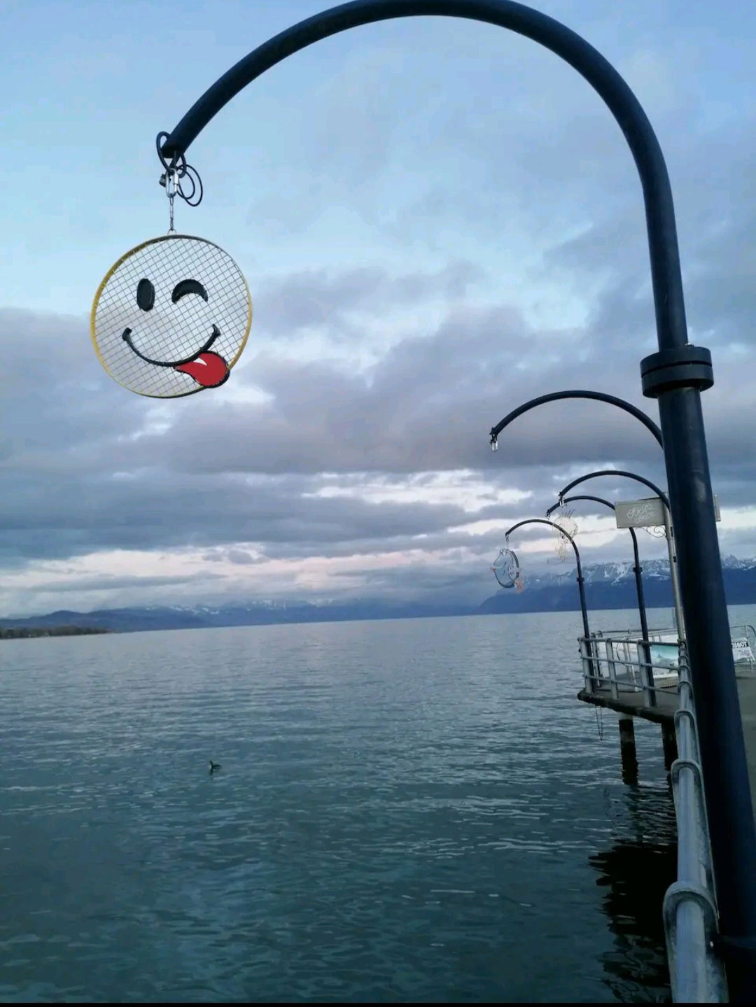 Quedarse En Casa Morges 244652