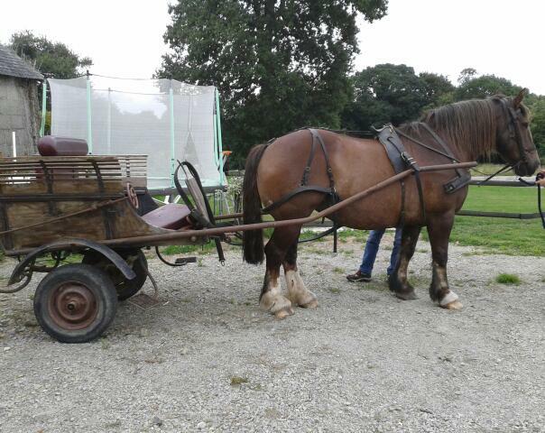 Habitaciones De Huéspedes Lannion 23008