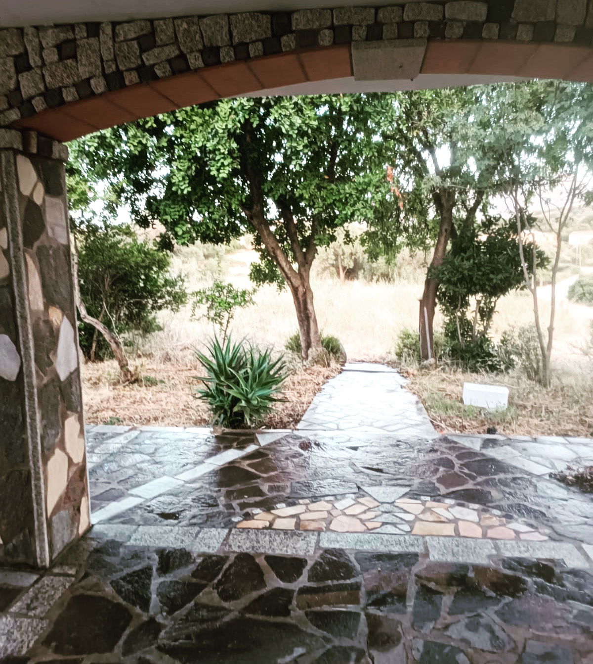 Estudio Independiente Olbia 260399