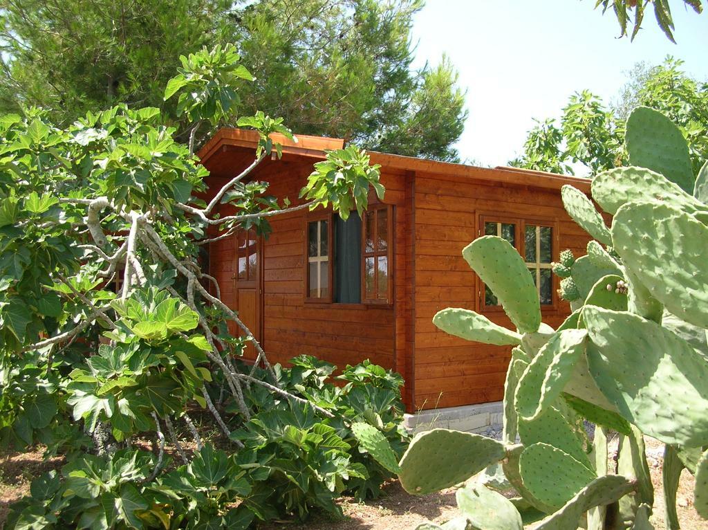 Estudio Independiente Gagliano del Capo 196203