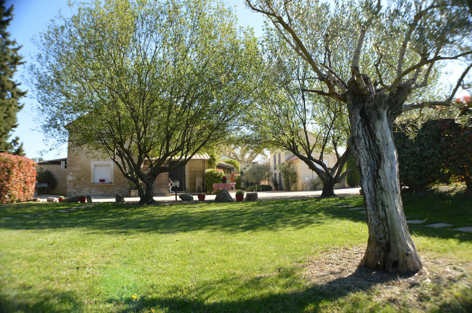 Estudio Independiente Monteux 128519