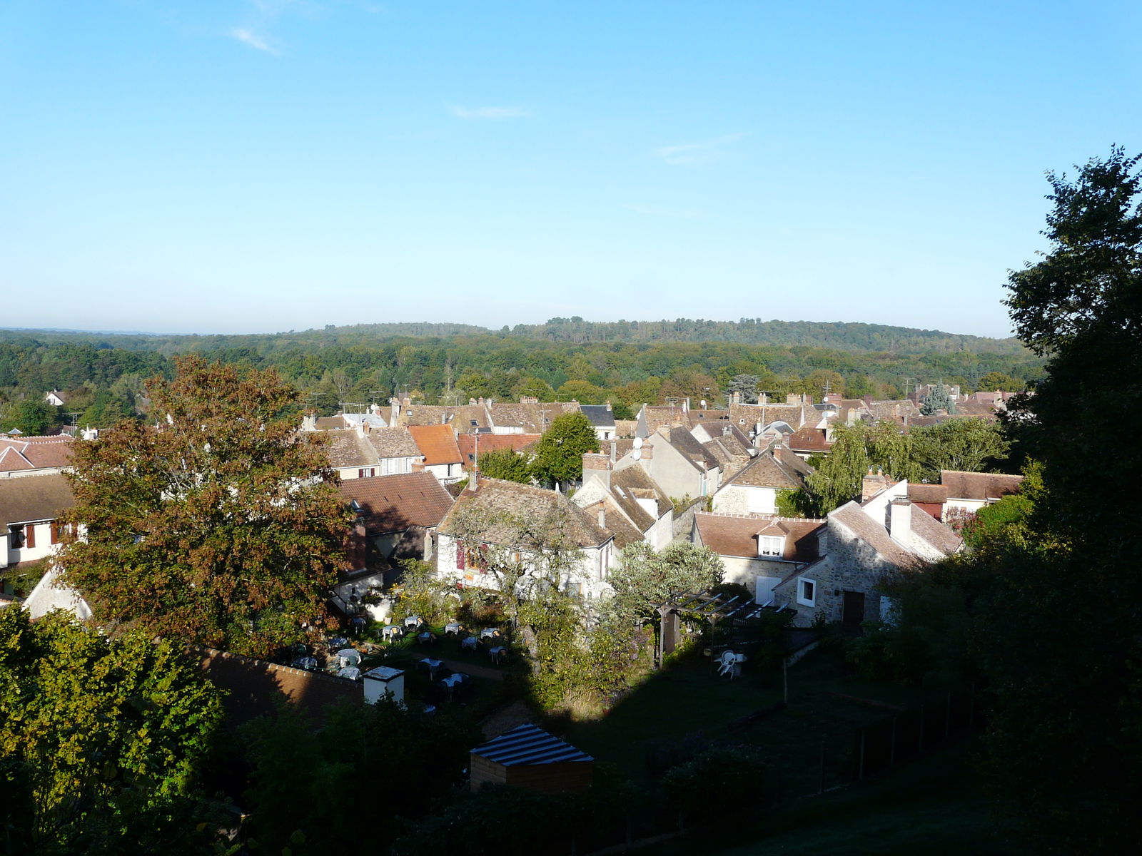 Collocazione Rambouillet 46607