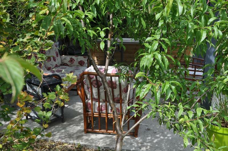 Tutta La Casa Thomery 243818