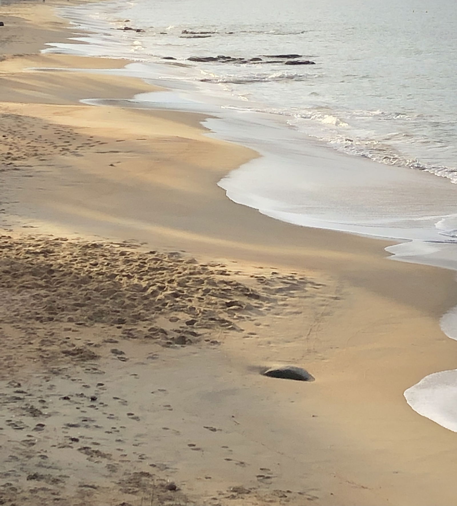 Estudio Independiente Belvédère-Campomoro 258095