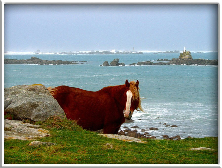 Tutta La Casa Porspoder 190628