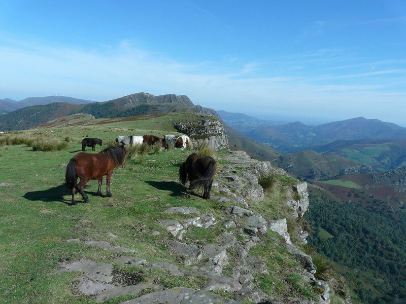 Monolocale Indipendente Boucau 101183