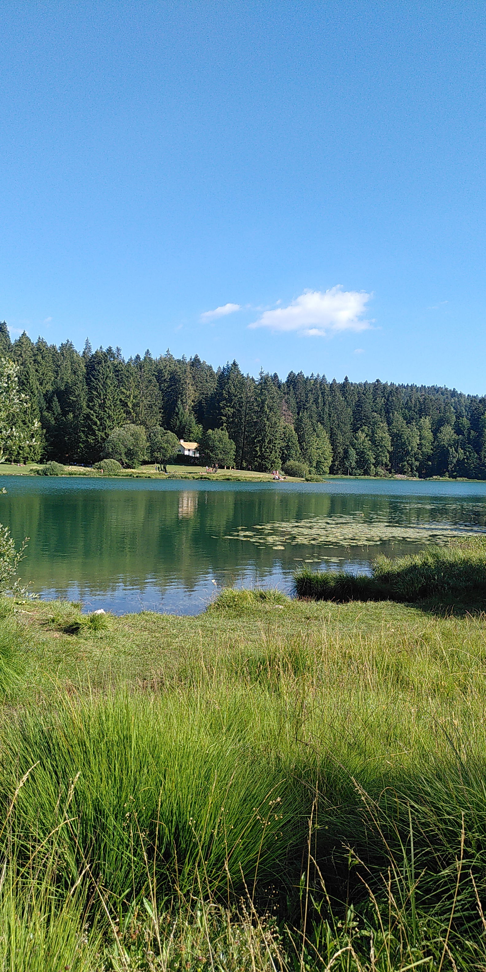 Tutta La Casa Brénod 246314