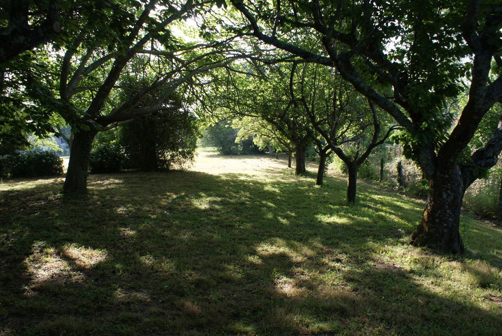 Estúdio Independente Saubrigues 256752