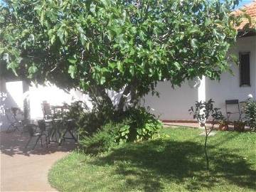 Chambre Chez L'habitant 3830 205441-7