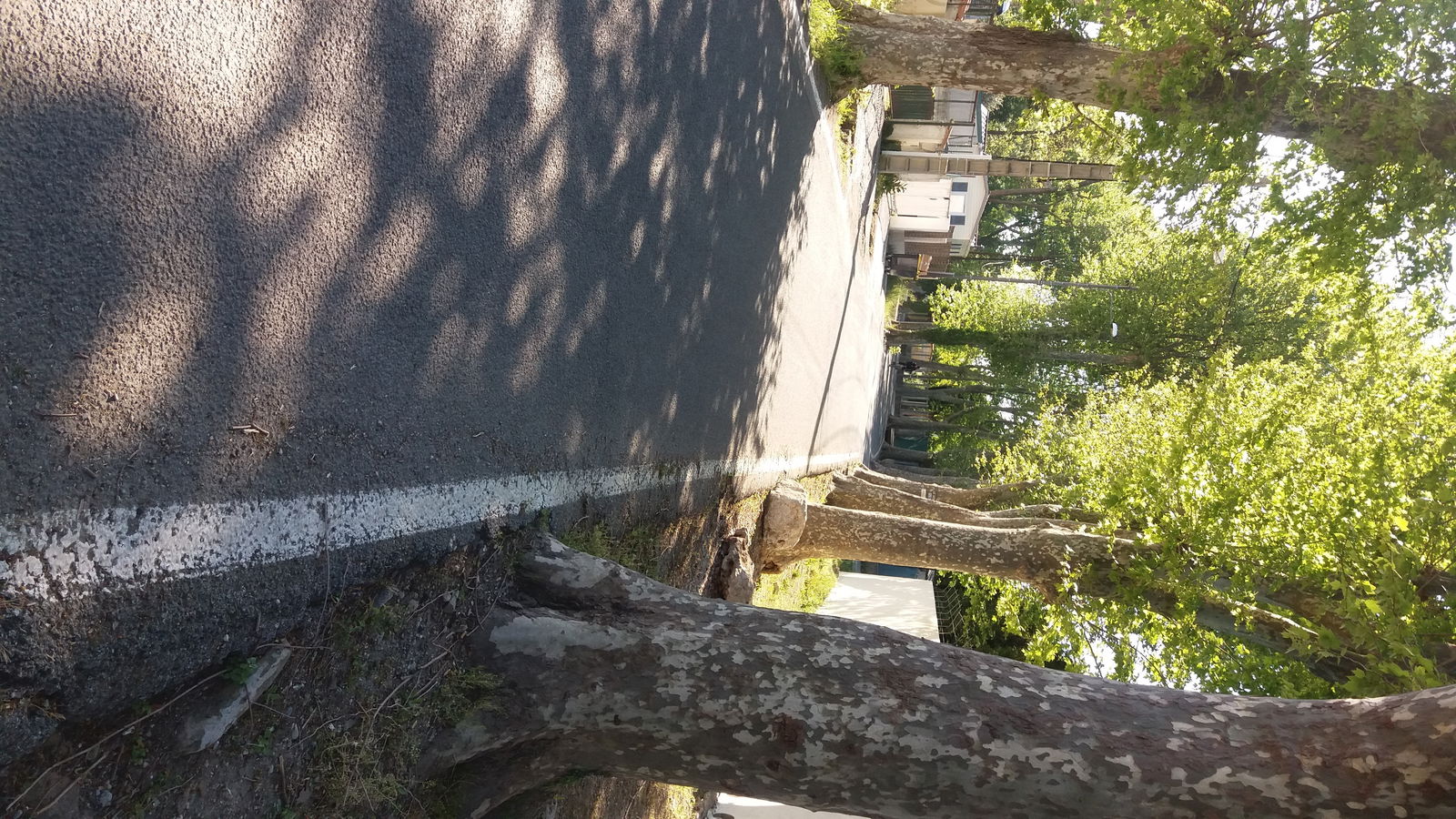 Estúdio Independente Antibes 134446