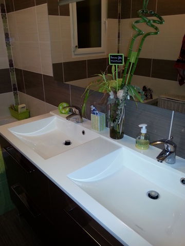 Estudio Independiente Mios 59162