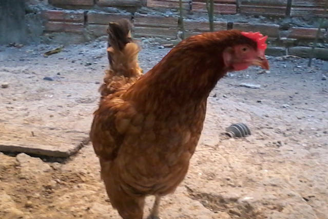 Quedarse En Casa Macapá 89812