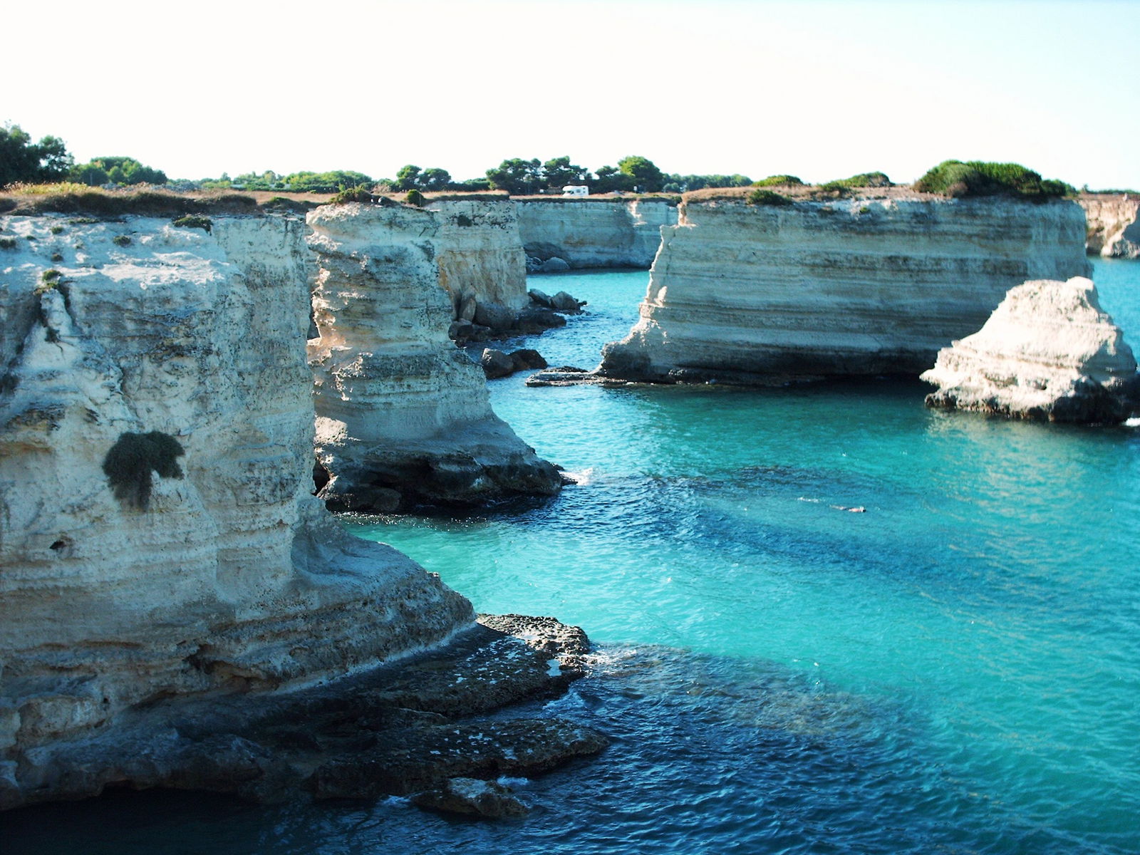 Estudio Independiente Torre Dell'orso 100248