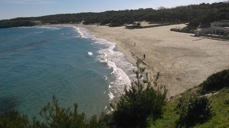 Estudio Independiente Torre Dell'orso 100248
