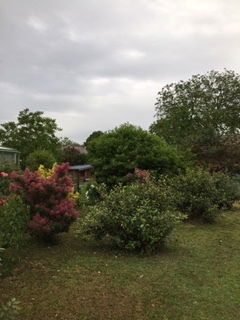 Estudio Independiente Genlis 223789