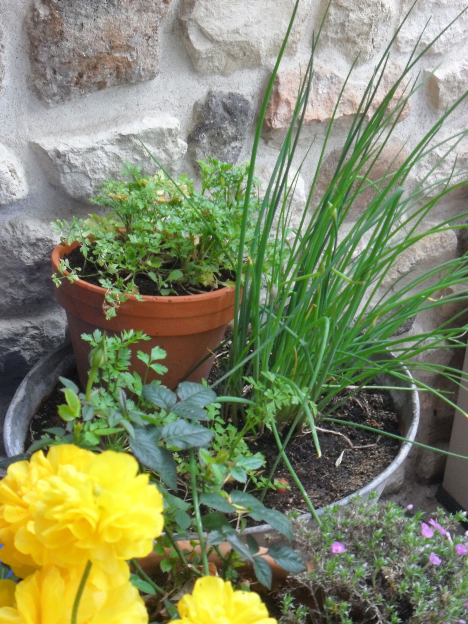 Estudio Independiente Pérignat-sur-Allier 102055