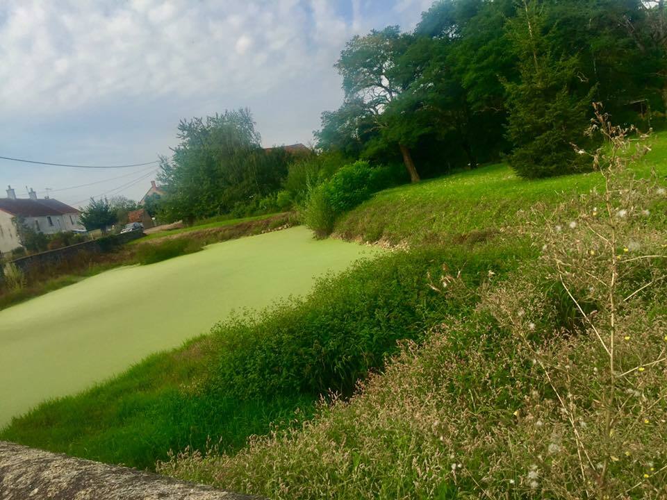 Quedarse En Casa Garchy 264440