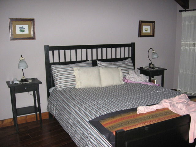 Estudio Independiente ANSERALL 35302