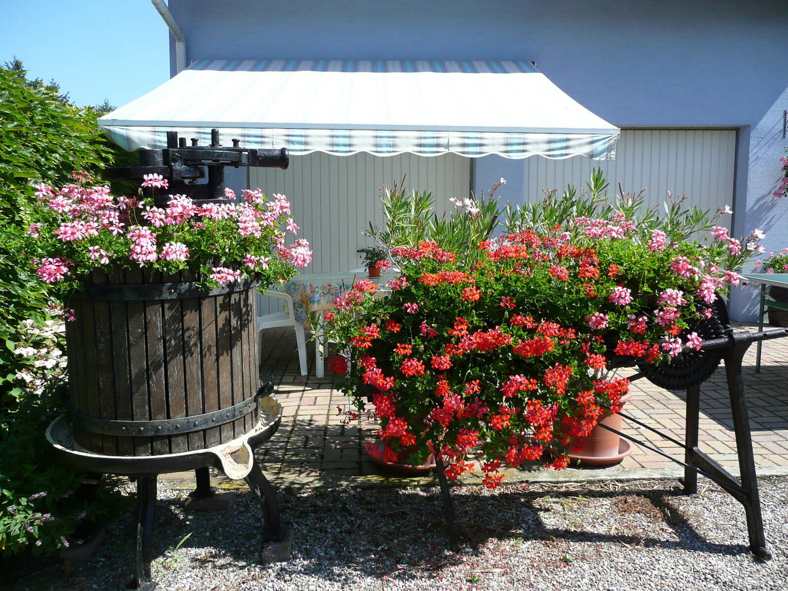 Estudio Independiente Oberhergheim 68632