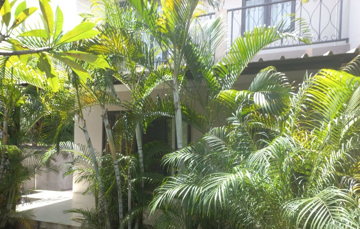 Tutta La Casa Grand Baie 234792