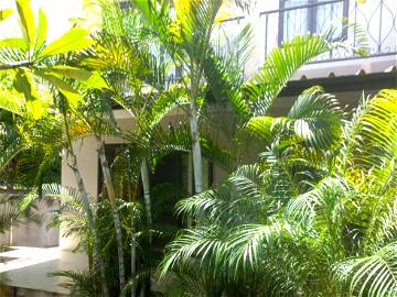 Roomlala | Casa Estiva Mauritius A 500 Metri Dalla Spiaggia