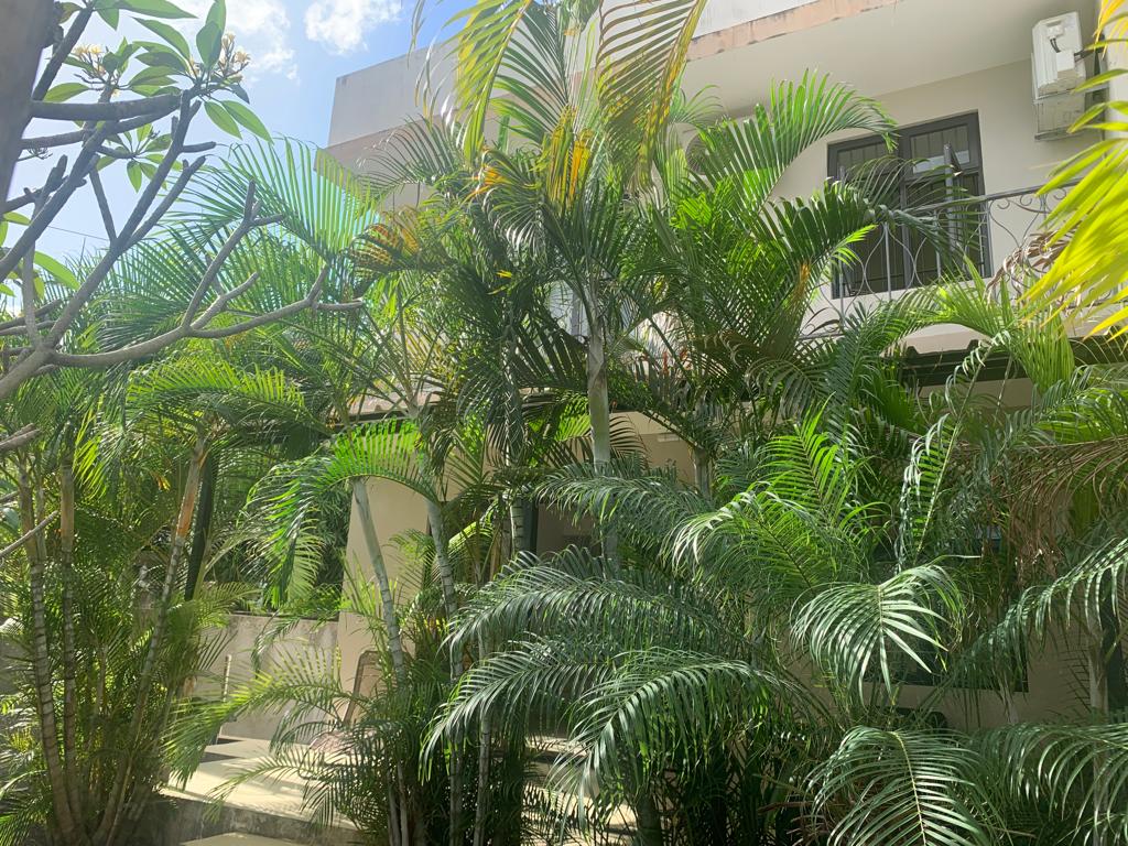 Tutta La Casa Grand Baie 234792