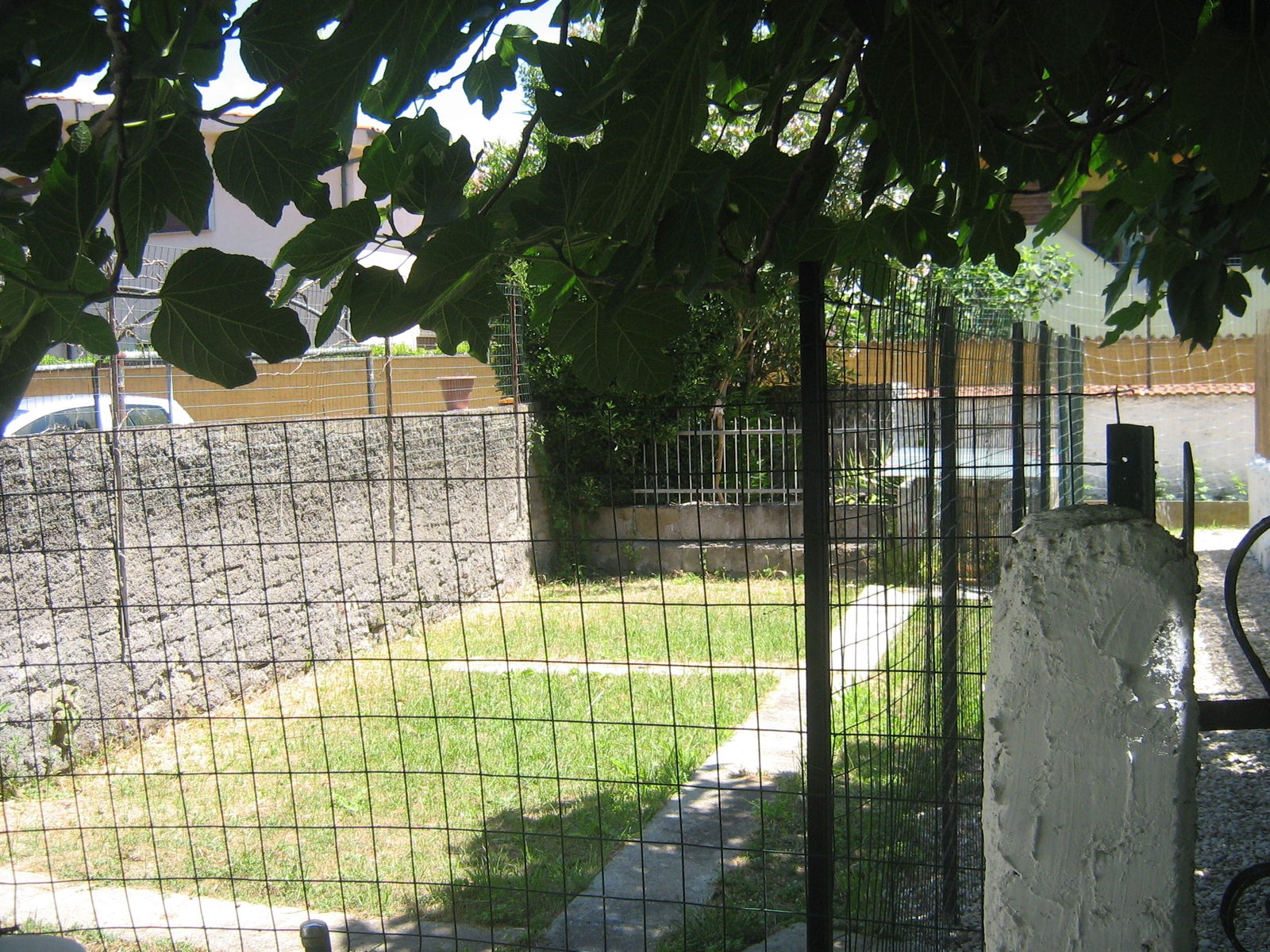 Estudio Independiente Focene 115355