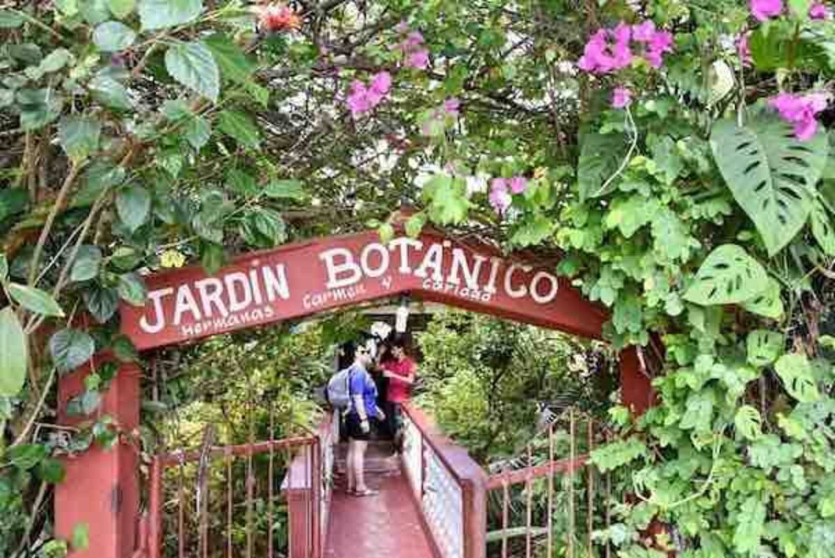 Quedarse En Casa Pinar del Río 334951