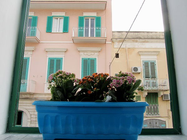 Oberoende Studio Monopoli 103477