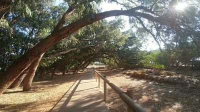 Tutta La Casa San Fulgencio 201478