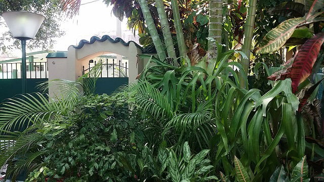 Quedarse En Casa La Habana 177506