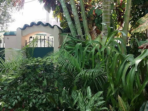 Gastgezin La Habana 177506-5