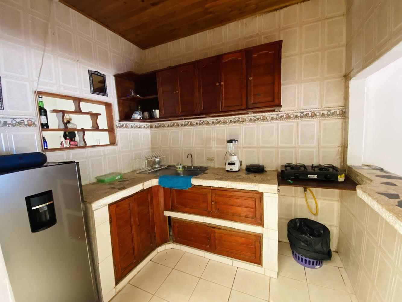 Estudio Independiente Palomino 262636
