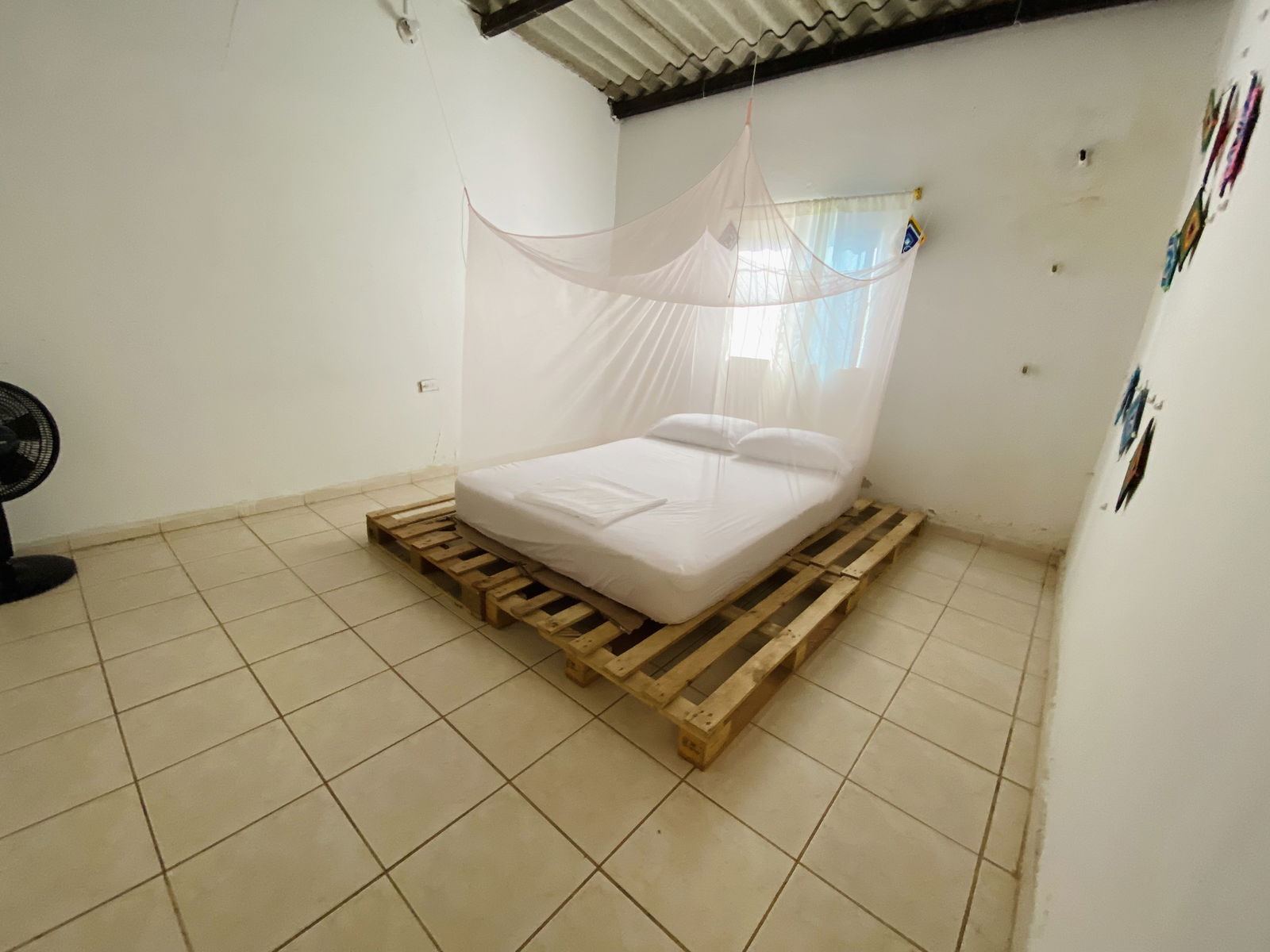 Estudio Independiente Palomino 262636