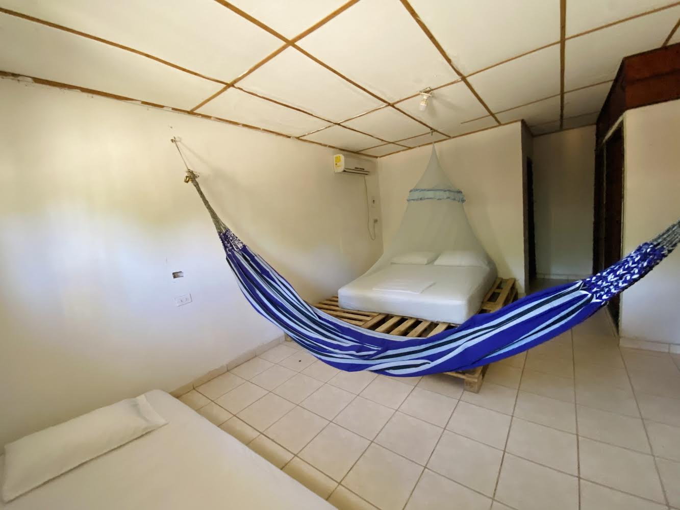 Tutta La Casa Palomino 262636