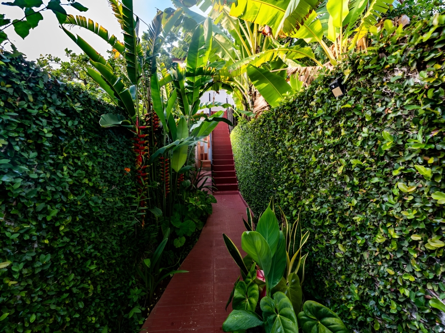 Chambre Chez L'habitant Viñales 178177