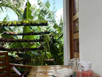 Chambre Chez L'habitant Viñales 268604-8