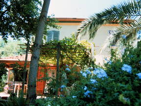 House surrounded by greenery near the center