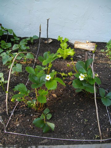 Tutta La Casa Sainte-Agathe-des-Monts 43745