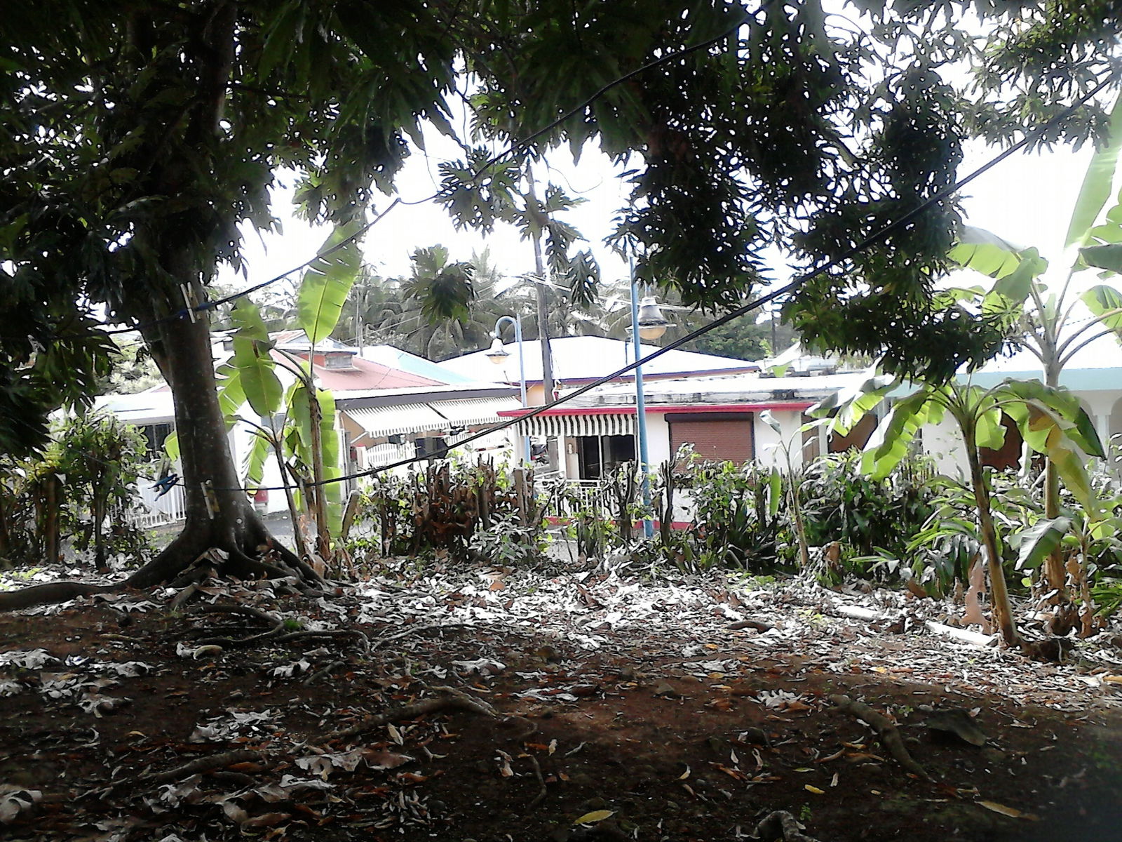 Tutta La Casa Épinal 127448