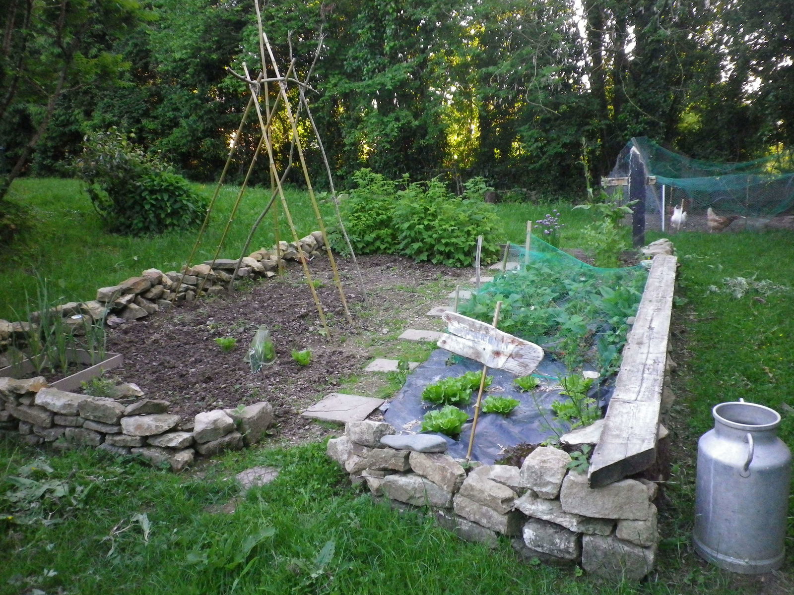 Tutta La Casa Percy 96832