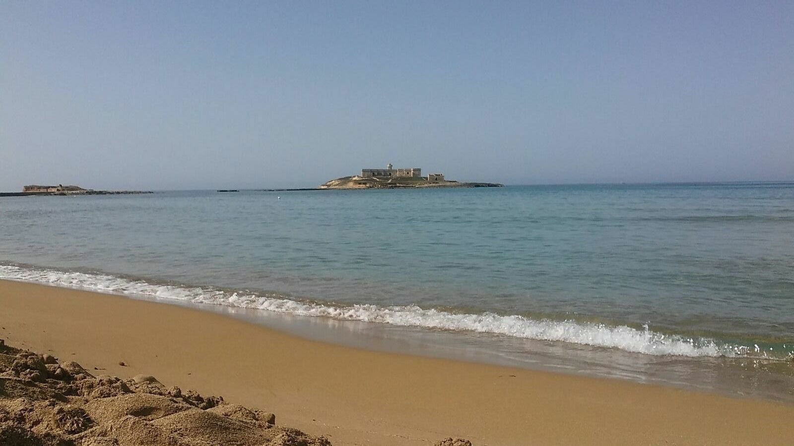 Unabhängiges Studio undefined 163352