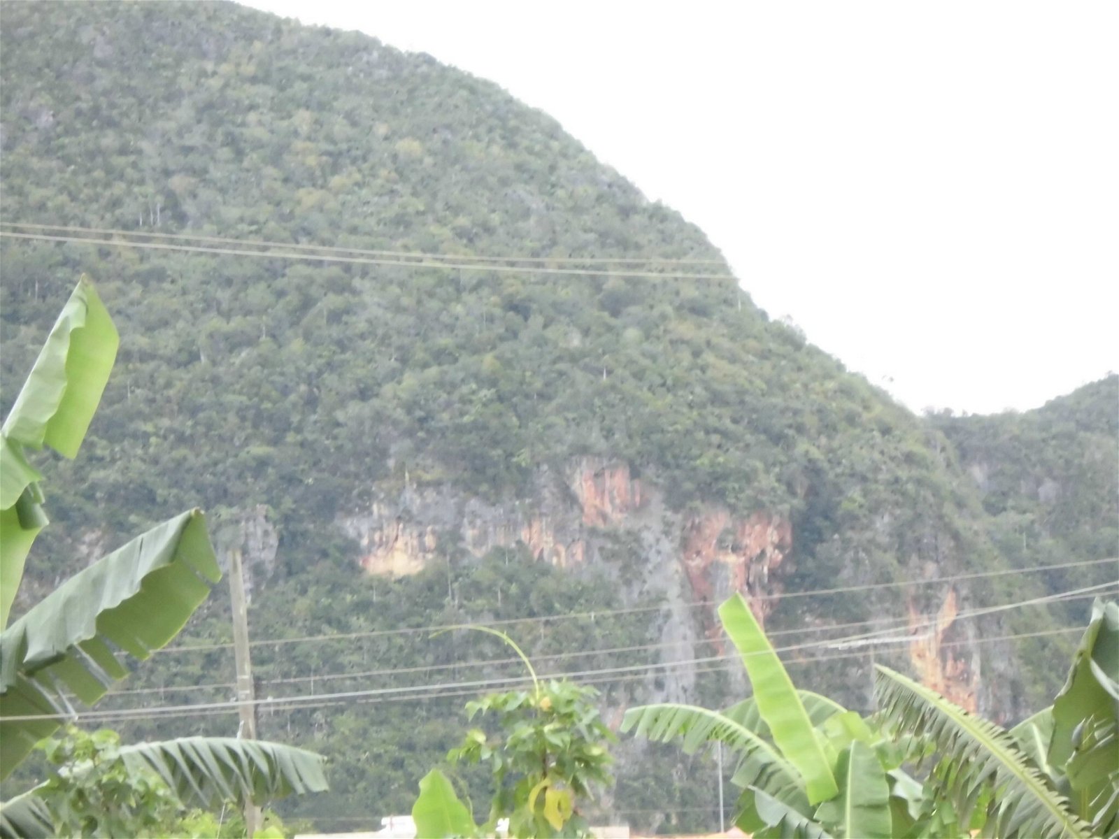 Quedarse En Casa Viñales 186670