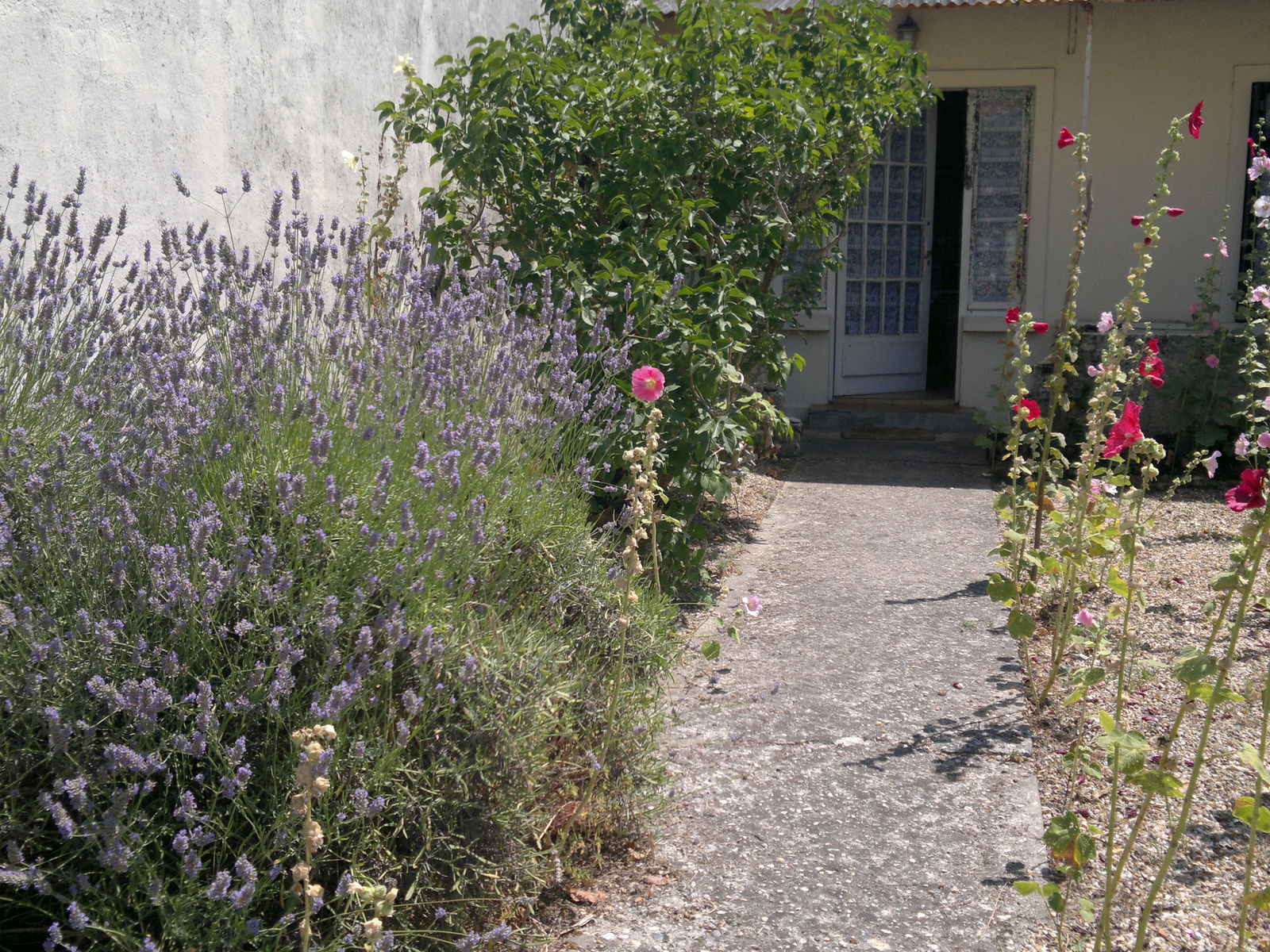 Estudio Independiente Le Verdon-sur-Mer 141777